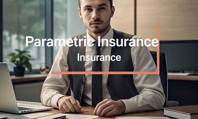 The Growth of Parametric Insurance: Faster Claims and Payouts
