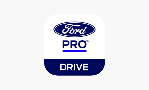 Ford pro telematics