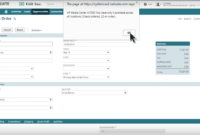 NetSuite CRM Review