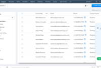 zoho voice Streamlining Communication for Businesses