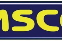 Amscot cash advance payment